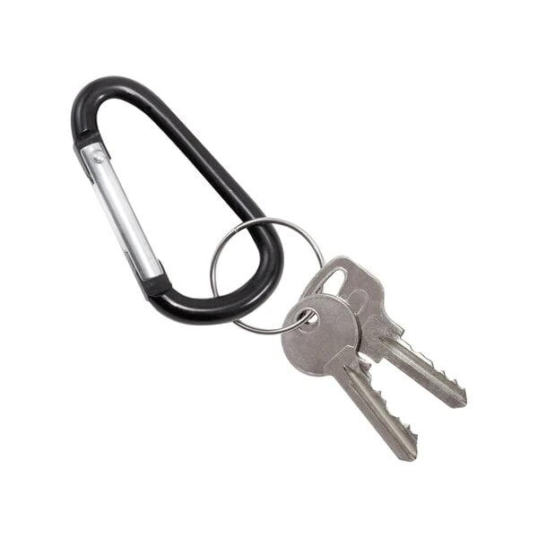Key Organizers