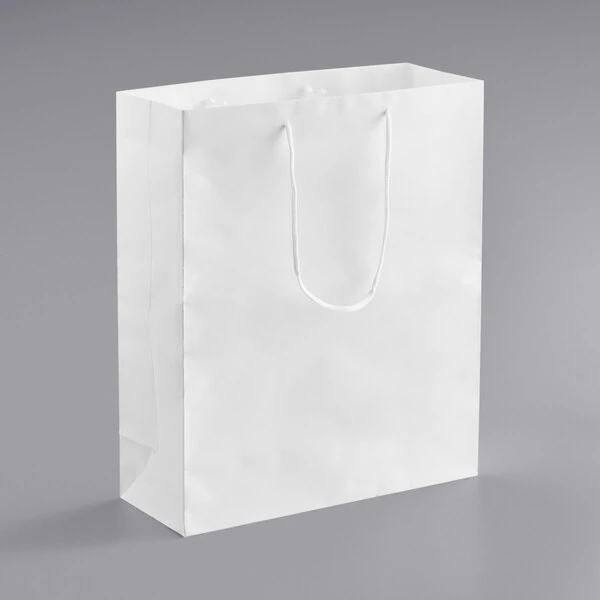 16" x 6" x 19" White Paper Bag with Rope Handles - 100/Case