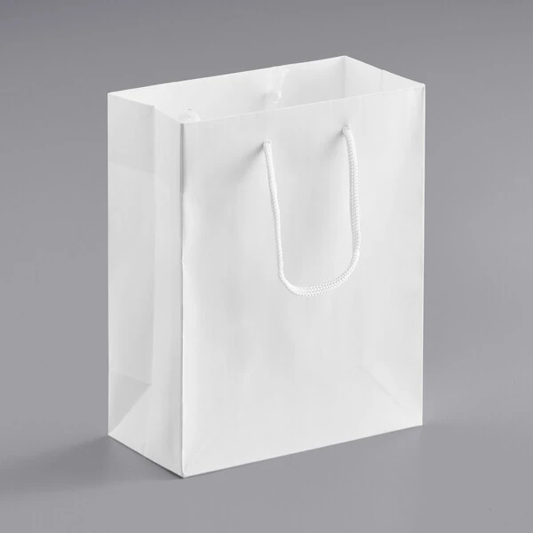 8" x 4" x 10" Customizable White Paper Bag with Rope Handles - 200/Case