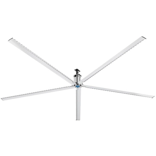 Ceiling Fans