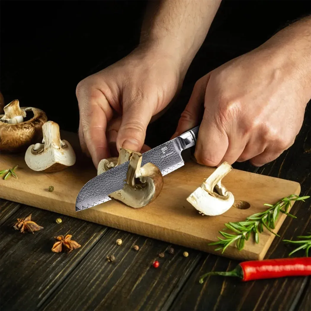 Paul Brown, Santoku Knife, 18 cm Blade, VG10 Steel, Octagon Wooden Handle