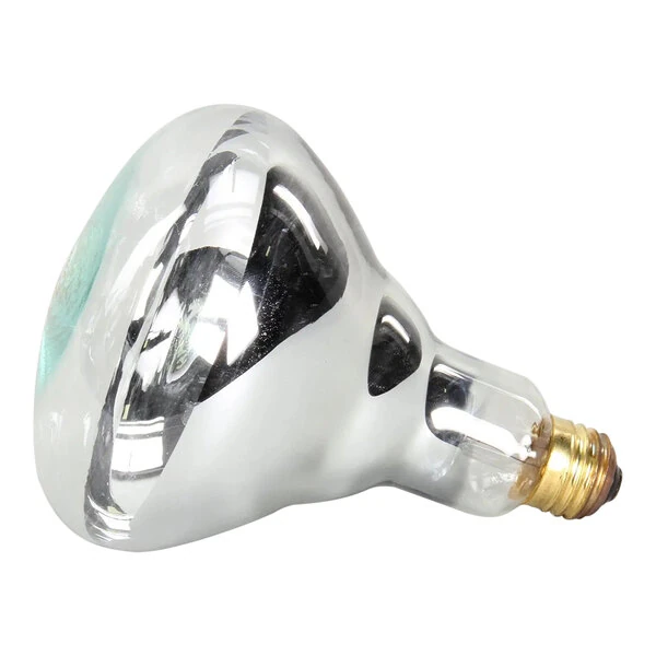 APW Wyott 2E-75410 Lamp, 250W, Philips #250Br40/1