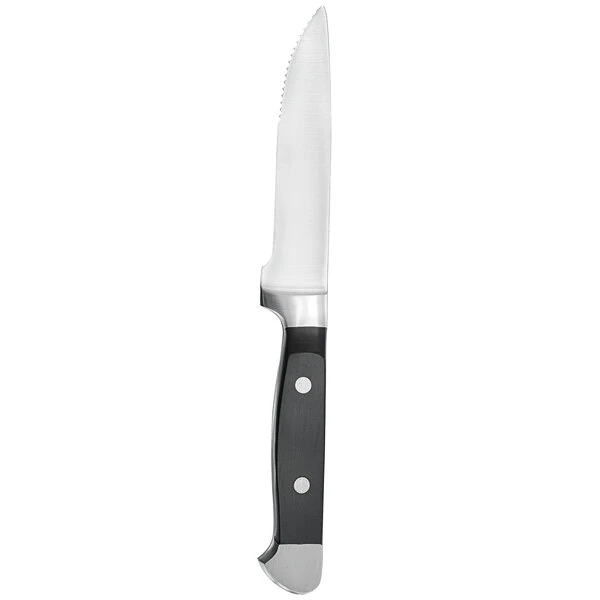 Chef & Sommelier ESK01 Chelsea 10" 18/10 Stainless Steel Extra Heavy Weight Steak Knife by Arc Cardinal - 6/Case