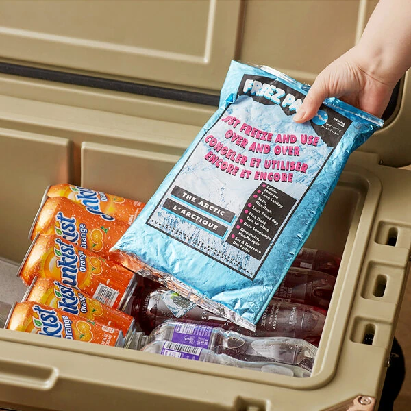 Lifoam Freez Pak Extra Large Reusable Ice Pack Bag LF4985
