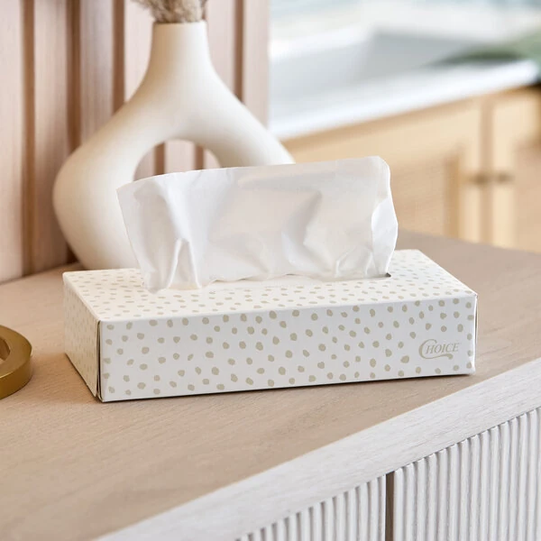 Choice 100 Sheet 2-Ply Facial Tissue Box - 30/Case