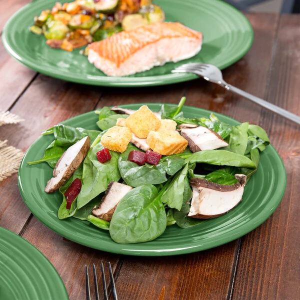 Fiesta® Dinnerware from Steelite International HL465344 Meadow 9" China Luncheon Plate - 12/Case