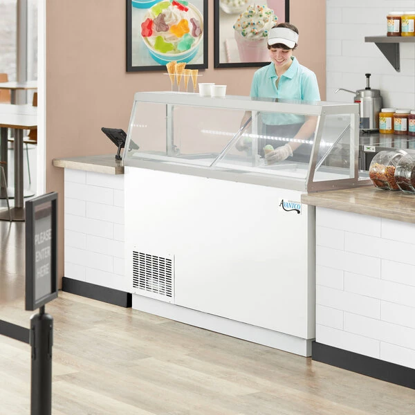 Avantco CPW-68-HC 67 3/4" 12 Tub White Deluxe Ice Cream Dipping Cabinet