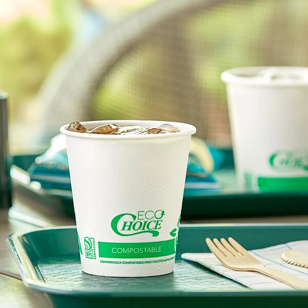 EcoChoice 9 oz. Compostable PLA Paper Cold Cup - 1,000/Case