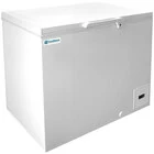 Commercial Chest Freezers