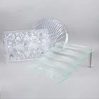 Plastic Serving and Display Platters / Trays