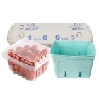 Produce Containers and Packaging