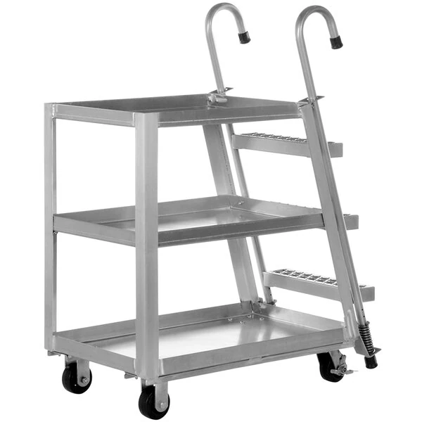 Ladder Carts