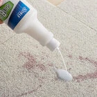 Carpet Cleaners and Shampoos
