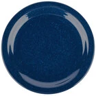 Carlisle Dallas Ware