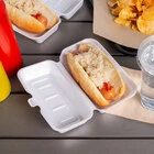 Hot Dog Containers