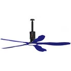 Ceiling Fans