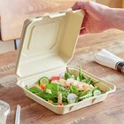 Clamshell Boxes