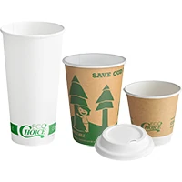 Eco-Friendly Disposable Cups and Lids