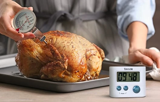 Thermometers & Timers