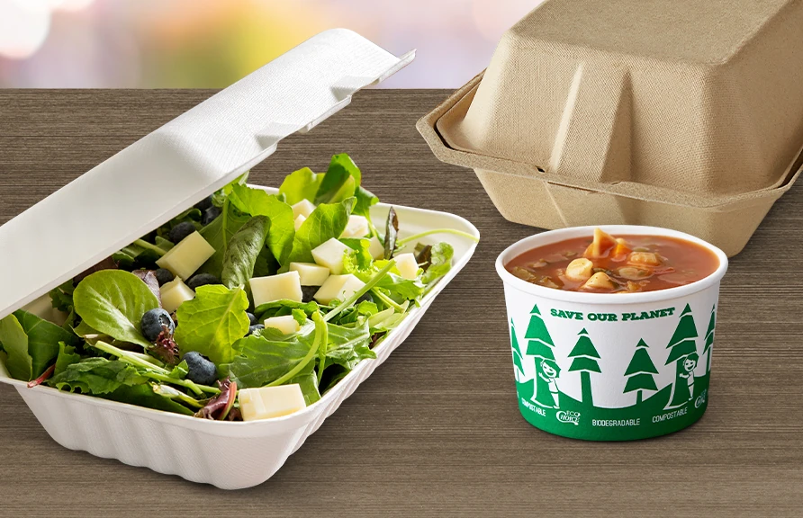 Eco-Friendly Disposables