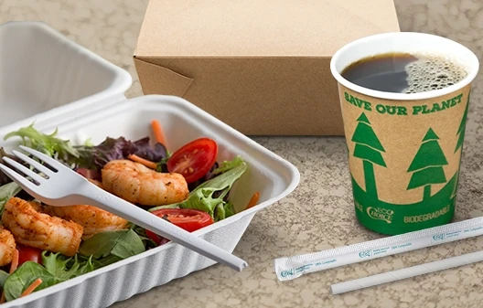 Eco-Friendly Disposables