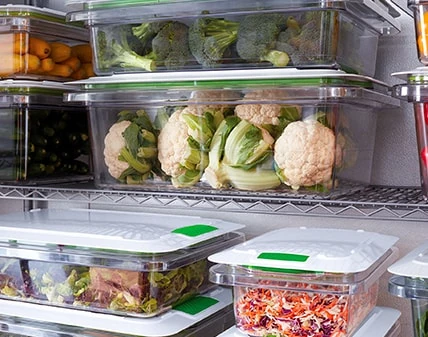 Vegetable Crisper Bins