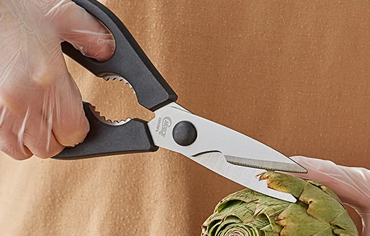 Kitchen Shears