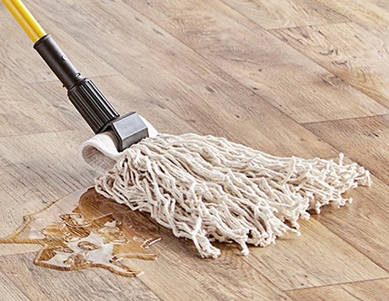 Wet Mops