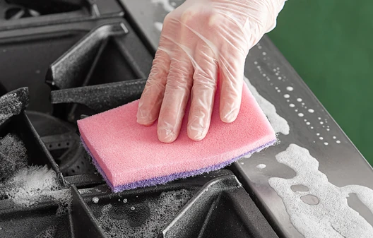 Scrubbers and Sponges
