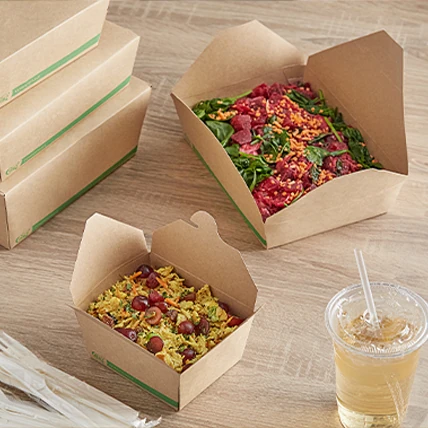 Catering Lunch Boxes