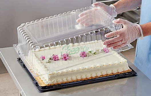 Plastic Cake Containers