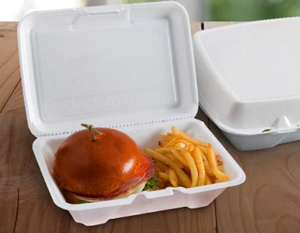Foam Hinged Containers