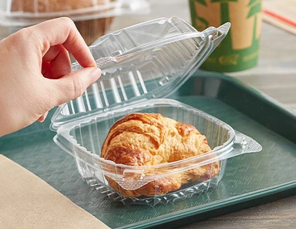 Hinged Plastic Containers