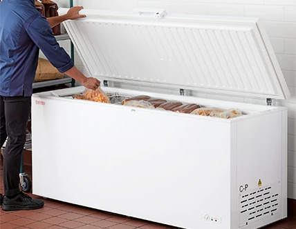 Commercial Chest Freezers