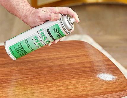 Dust Spray & Furniture Polish