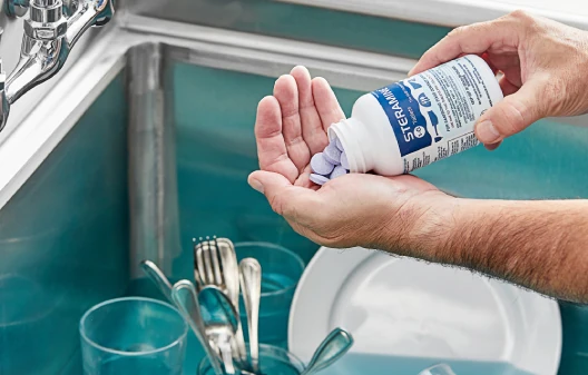 Glass and Dishware Sanitizers