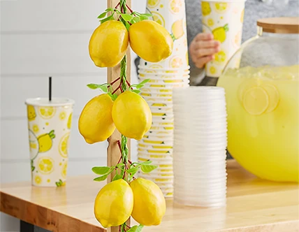 Fake Food Props