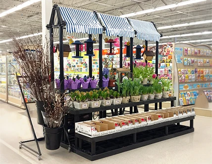 Floral Displays