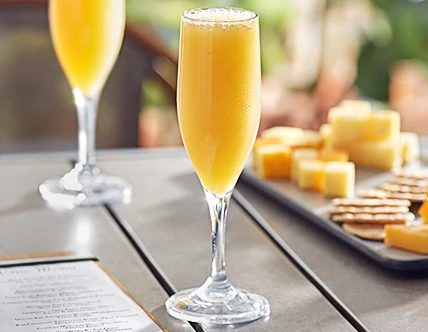 Plastic Champagne Glasses