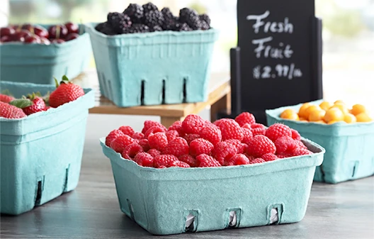 Produce Containers and Packaging