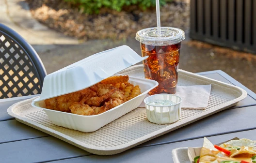 Molded Fiber / Pulp Food Trays