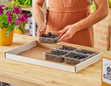 Rectangular Catering Trays