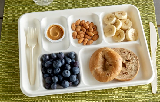 Foam School Trays and Pulp School Trays