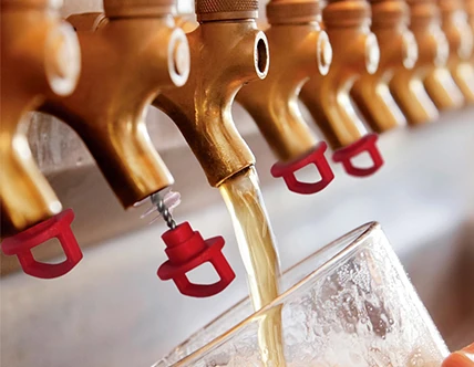 Beer Tap Brushes, Plugs, and Cleaning Accessories