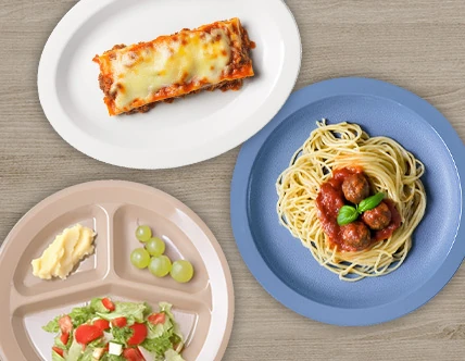 Polycarbonate Dinnerware and Mugs