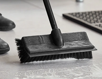 Deck Brushes