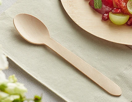 Eco-Friendly Disposable Cutlery