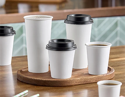 Paper Cups and Lids